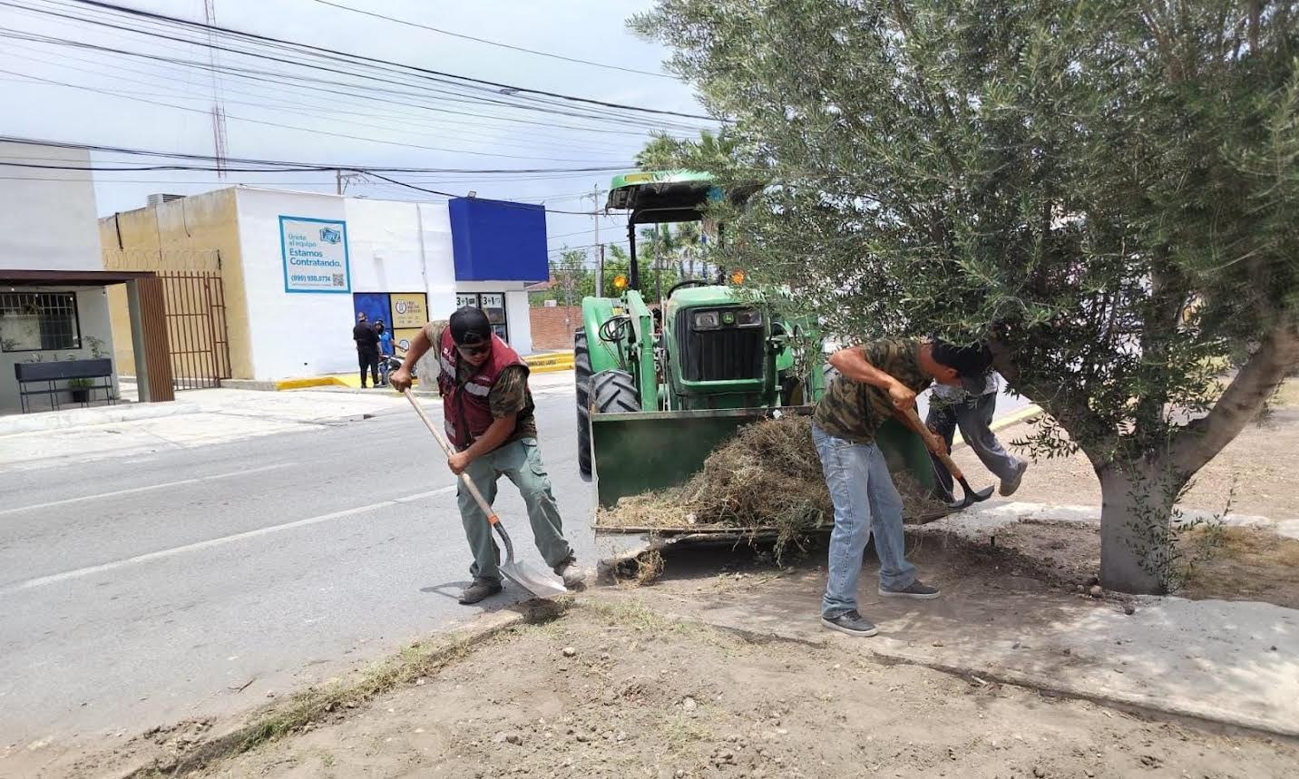 Avanza labor de embellecimiento del bulevar Lázaro Cárdenas
