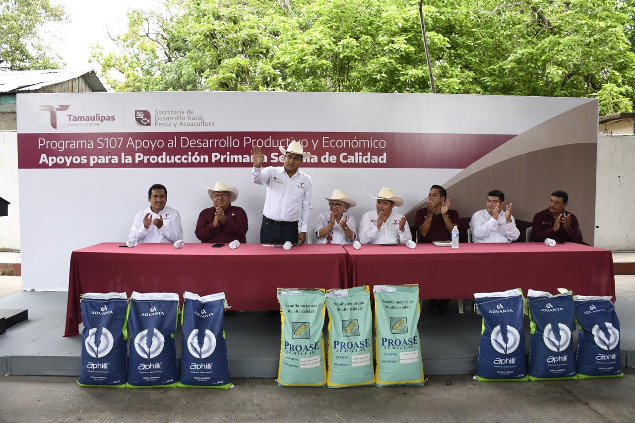 Fortalecen producción agrícola en Aldama, Altamira y González con entrega de semilla