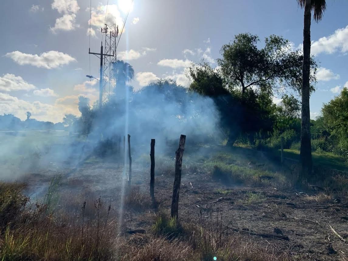 La fumigación no se detiene: el gobierno de Matamoros sigue protegiendo la salud de las familias 